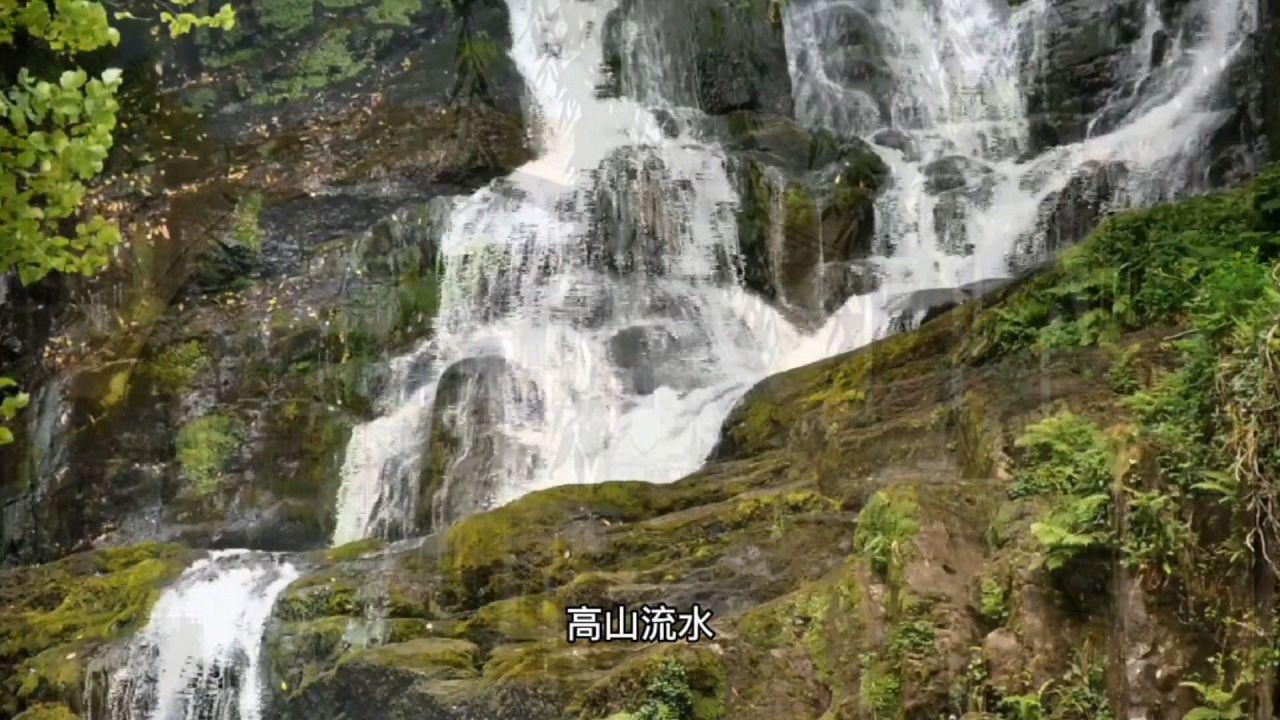 投篮得高分